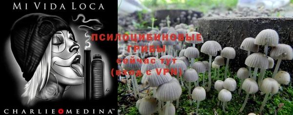 трава Алзамай