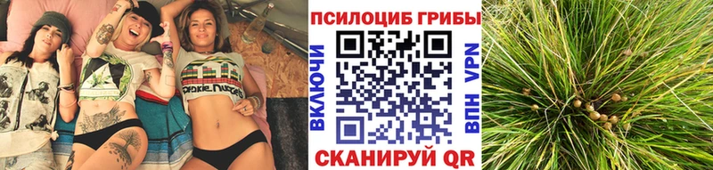 Псилоцибиновые грибы Magic Shrooms  цены наркотик  Красково 